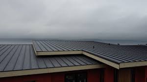 Best Roof Coating and Sealing  in Vass, NC